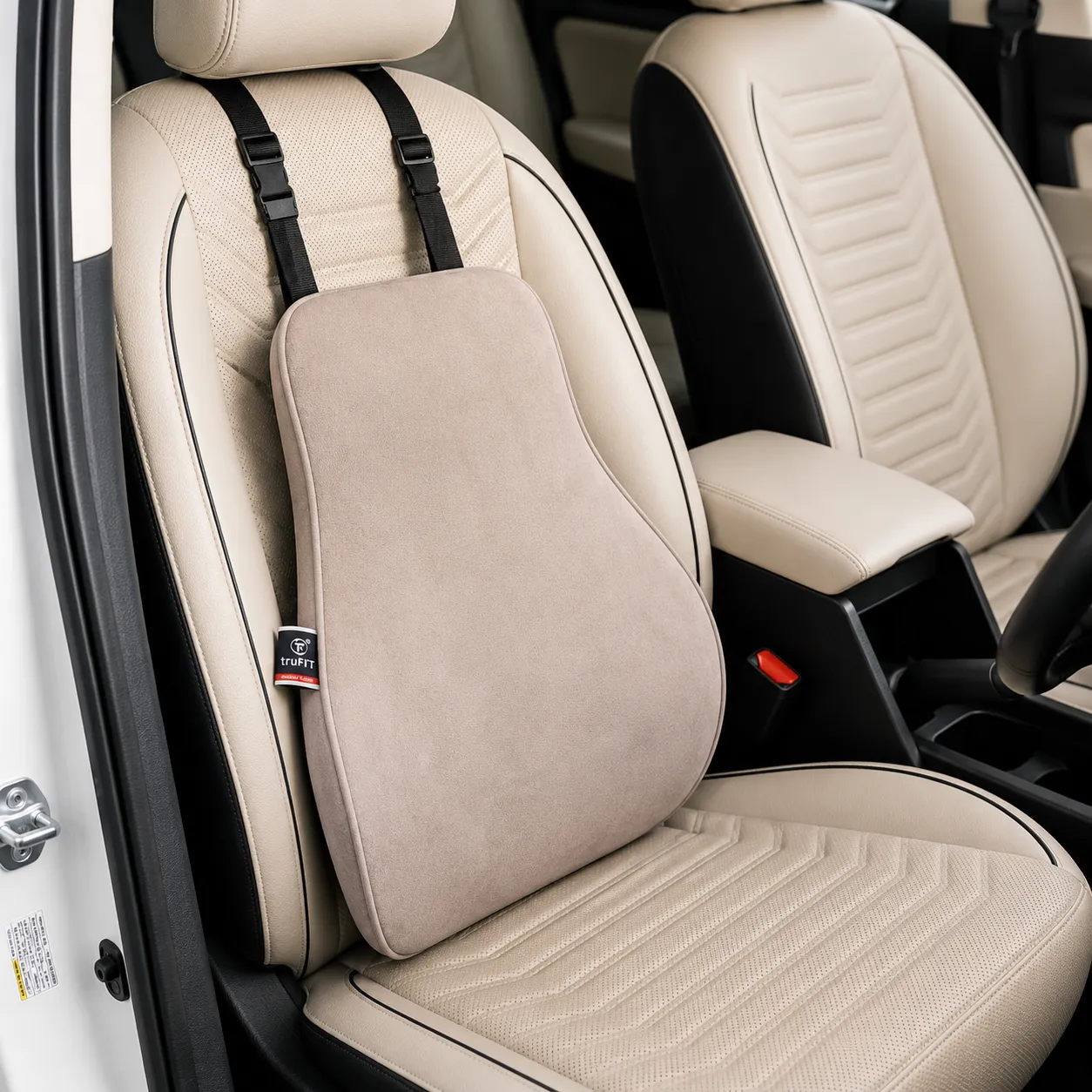 Black Back Cushion