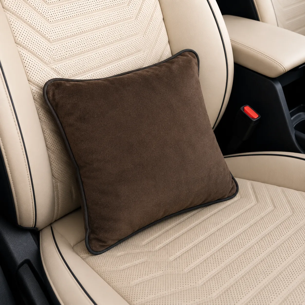 Black Squir Cushion Pillow